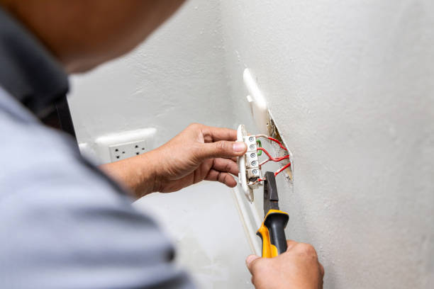 Best Ceiling Fan Installation Electrician  in Eclectic, AL